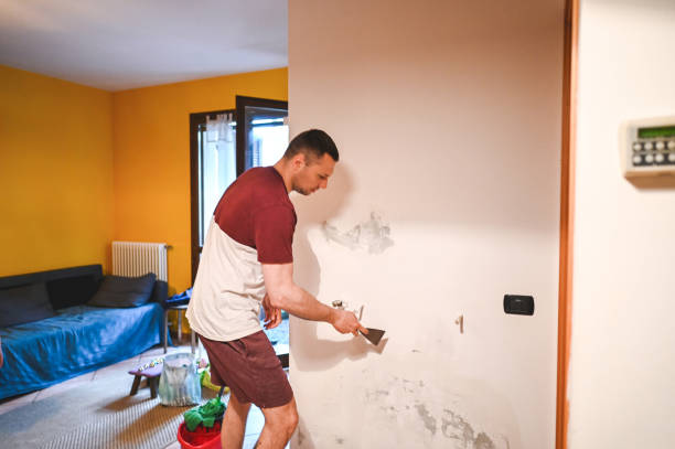 Best Mold Testing and Inspection Services in Dix Hills, NY